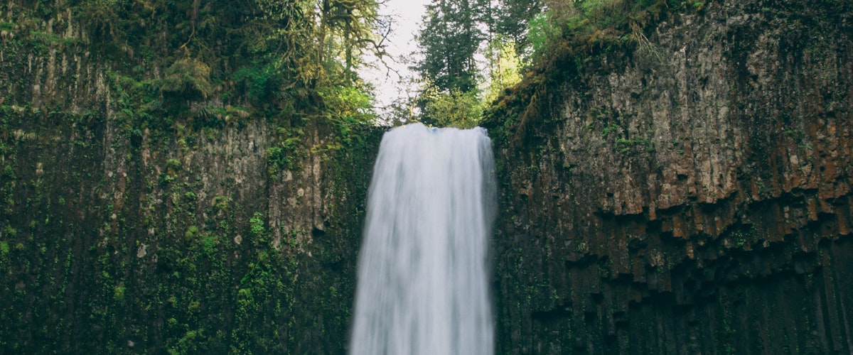 Water damage restoration in Savannah GA